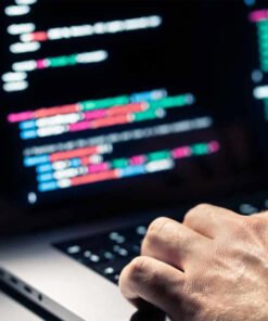 Cryptocurrency Stealer Software