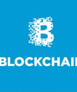 Blockchain Log | 1000+ USD Balance