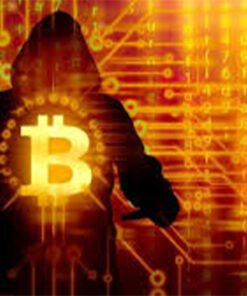 BITCOIN STEALER SOFTWARE 100% WORKING + (FREE VIDEO GUIDE)